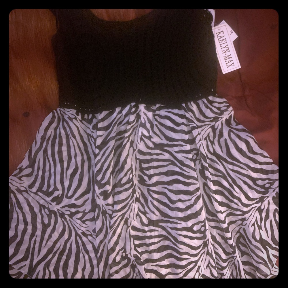 Knit and Sheer Zebra Print Top